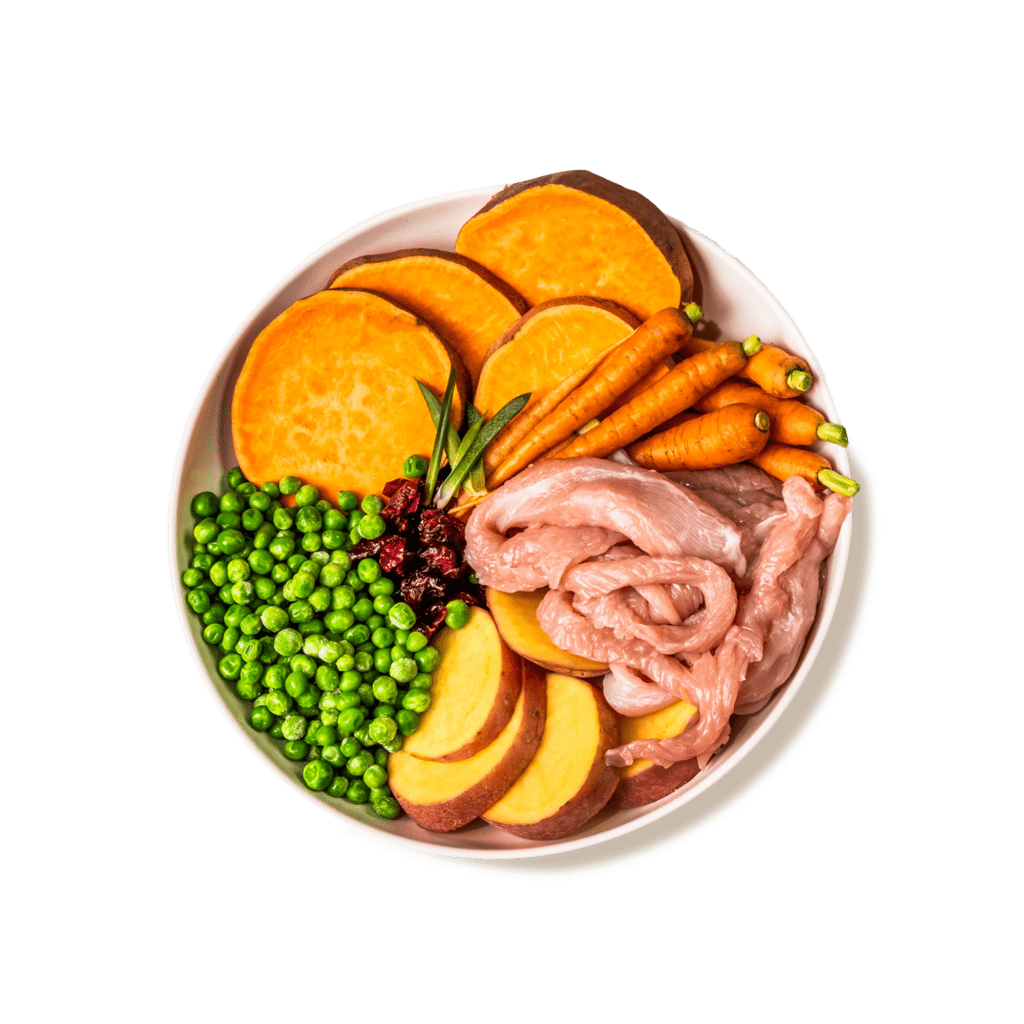 GP Cat Turkey Ingredients CUTOUT NEW