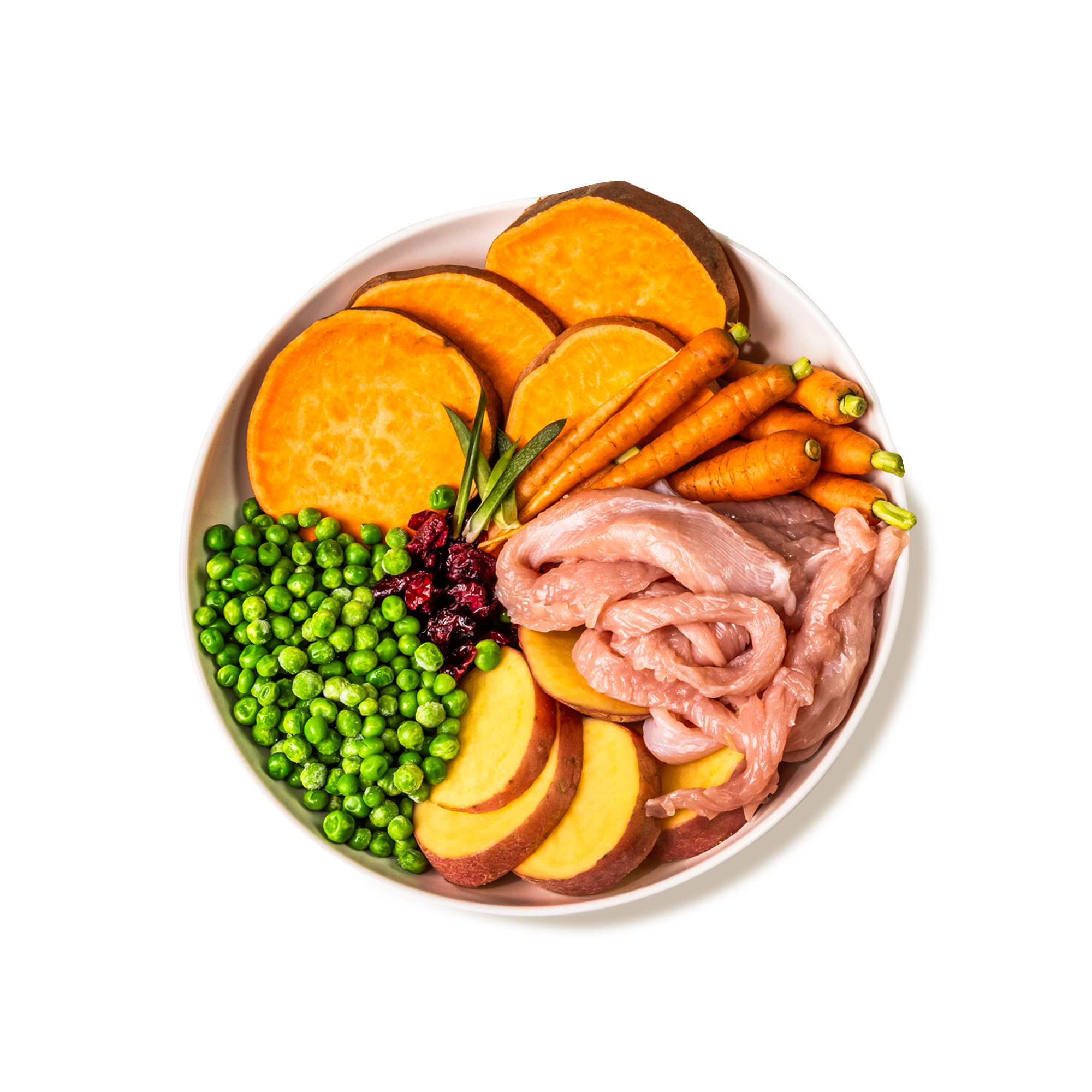 GP Cat Turkey Ingredients CUTOUT NEW