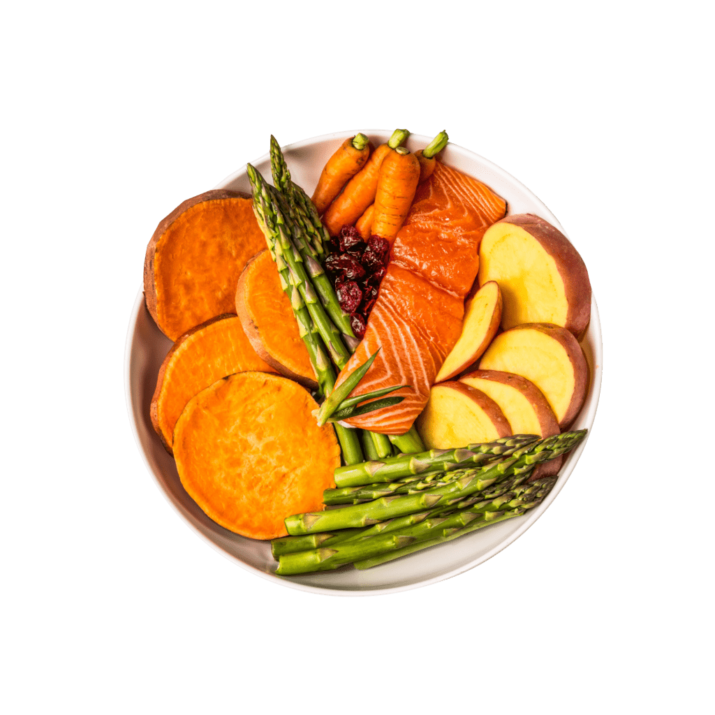 GP Cat Salmon Ingredients CUTOUT