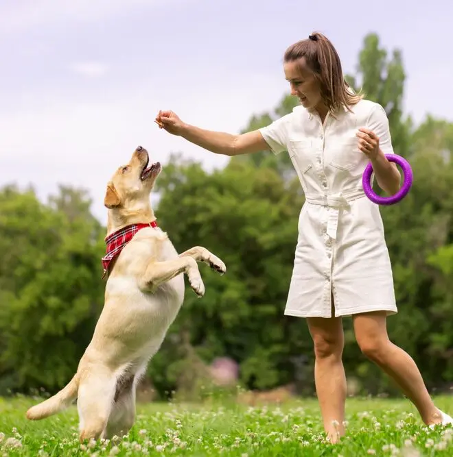 girl-giving-dog-a-treat