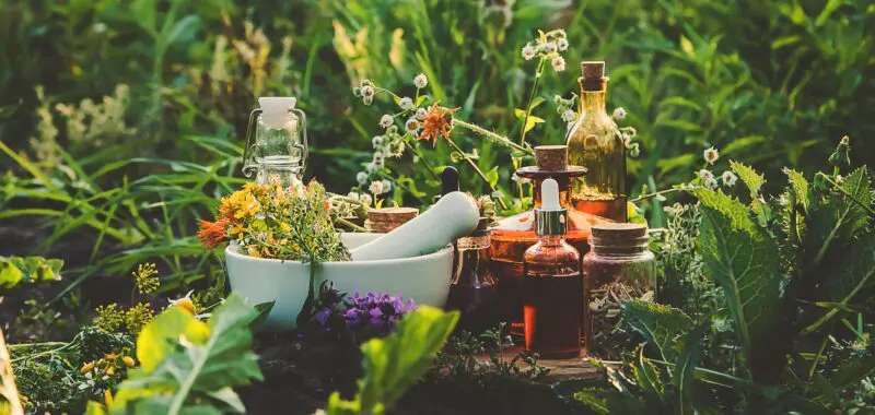 homeopathic-treatment