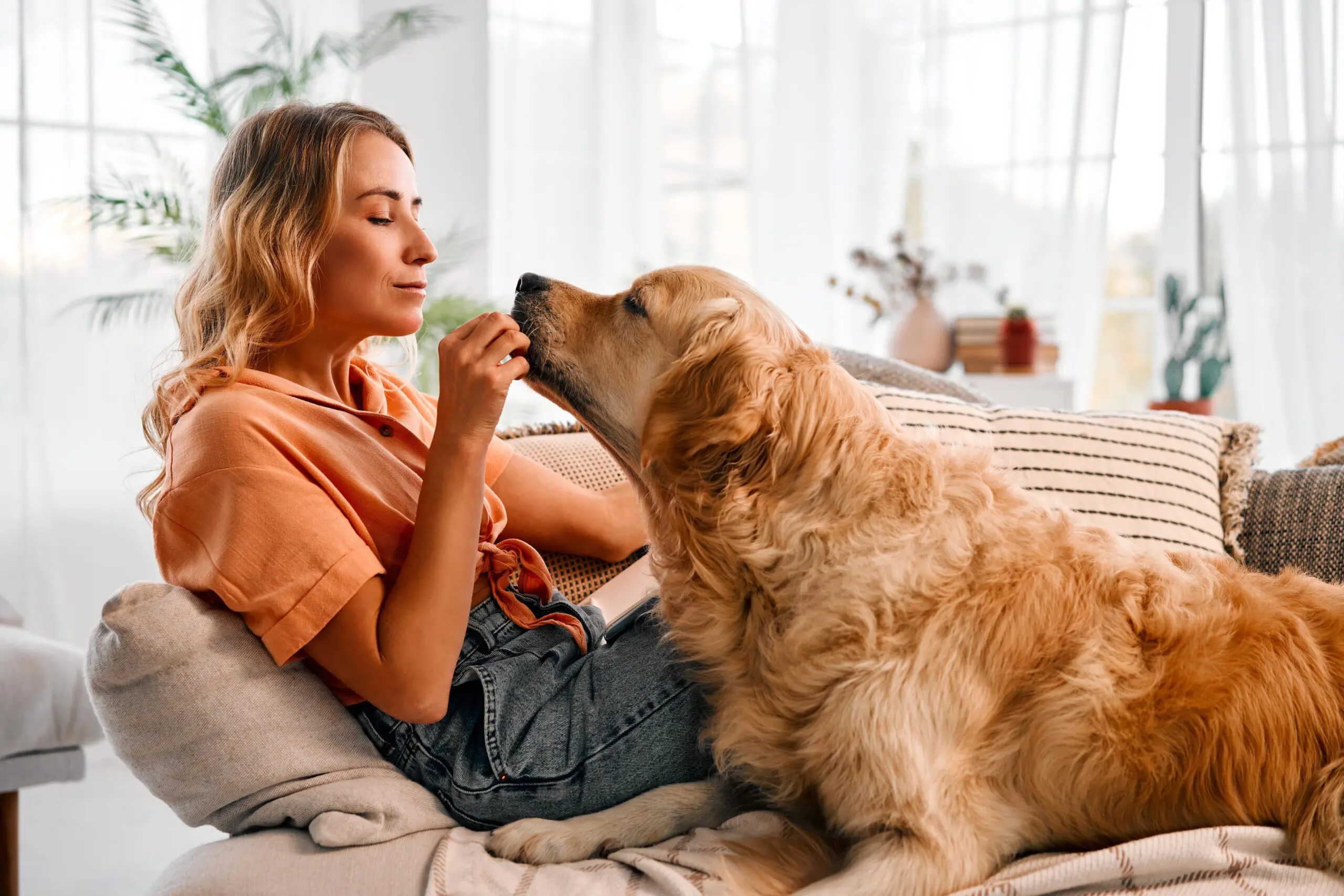 woman-feeding-large-dog-a-treat