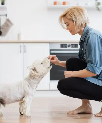 woman feeding a dog treats