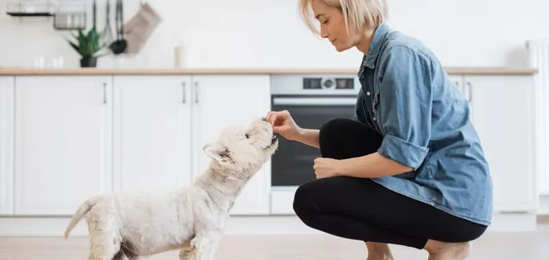 woman feeding a dog treats