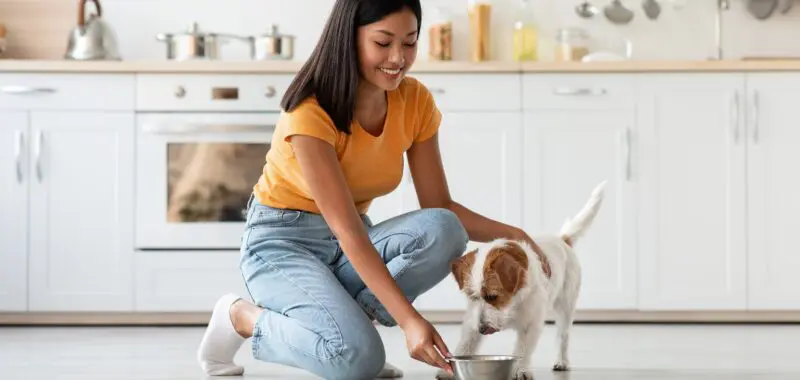 woman feeding puppy