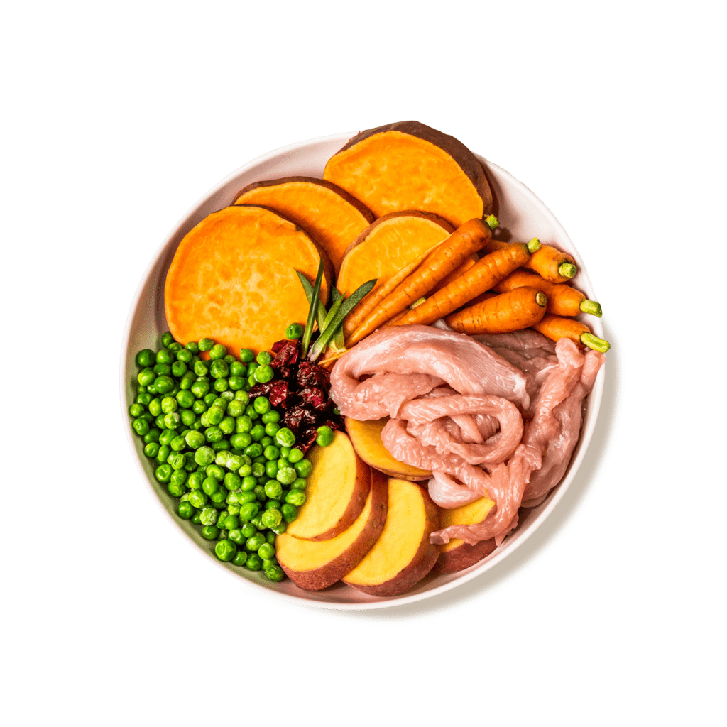 GP Cat Turkey Ingredients CUTOUT NEW