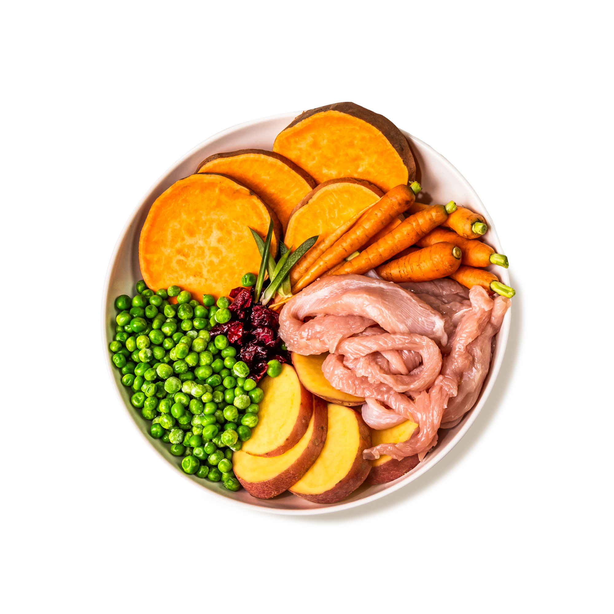 GP Cat Turkey Ingredients CUTOUT NEW
