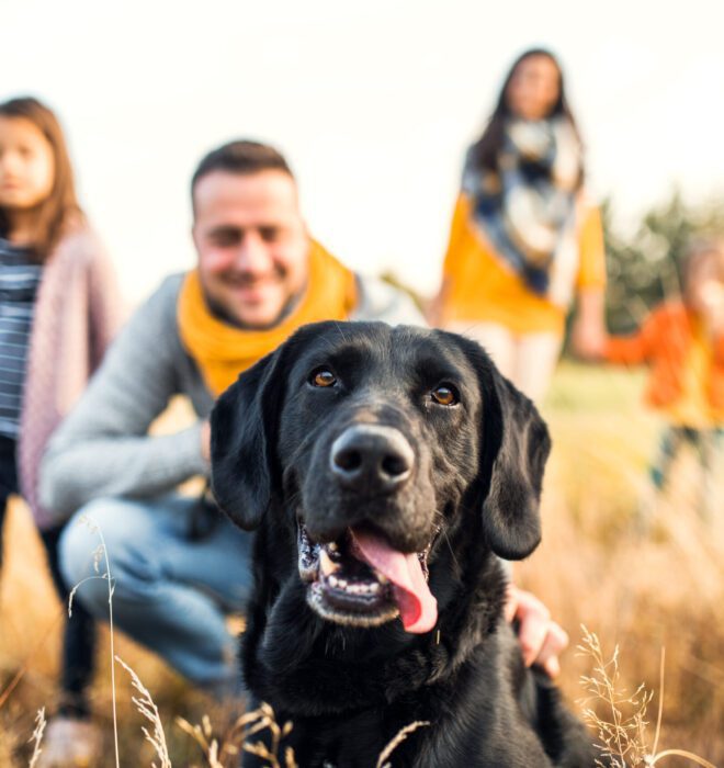 family with dog in field scaled 1